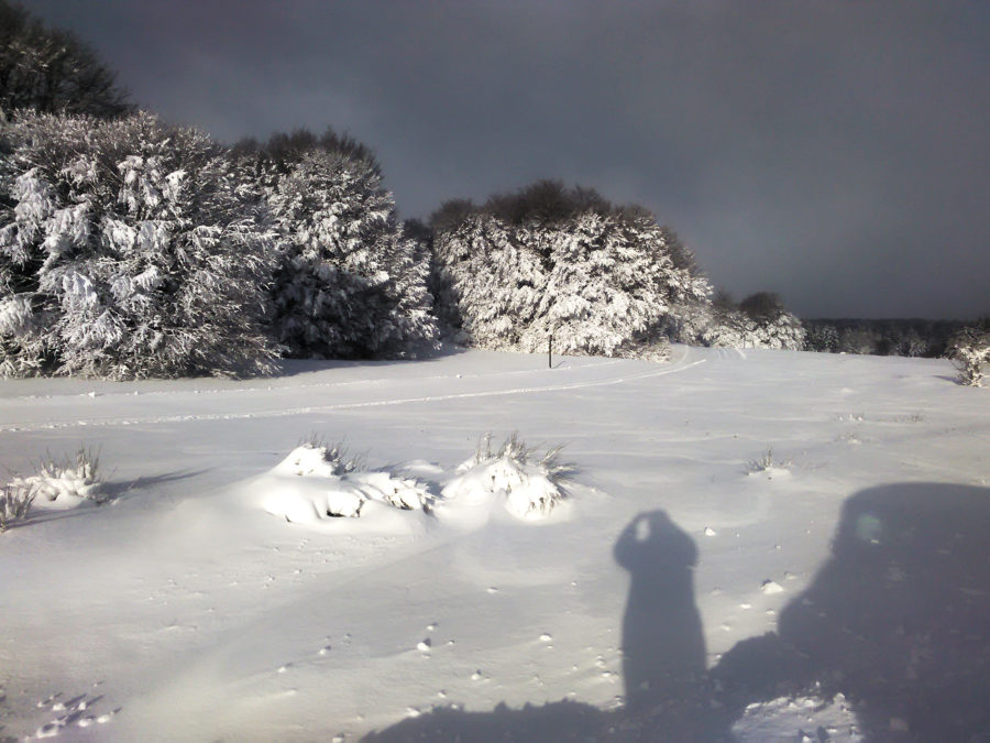 Les pistes Les pistes